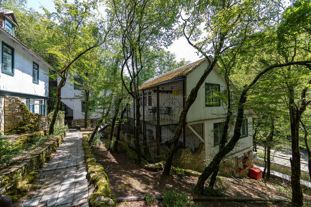 Гостевой дом Альфа Бетта-22