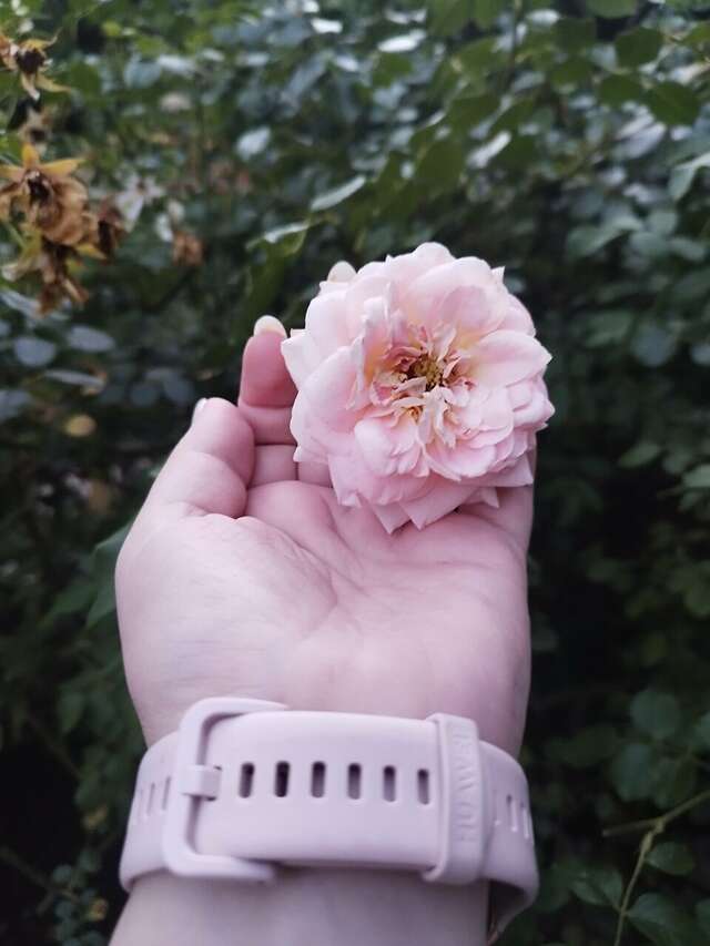 Гостевой дом Альфа Бетта-90