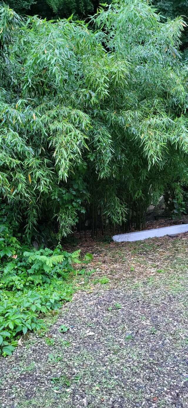 Гостевой дом Альфа Бетта-198