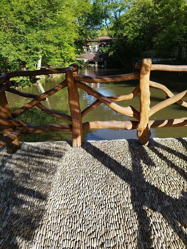 Гостевой дом Альфа Бетта-116