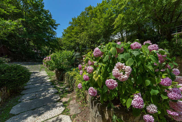 Гостевой дом Альфа Бетта-19