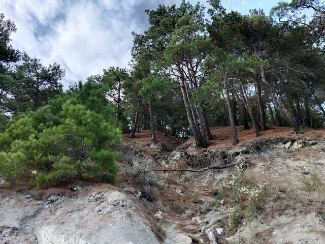 Гостевой дом Альфа Бетта-169