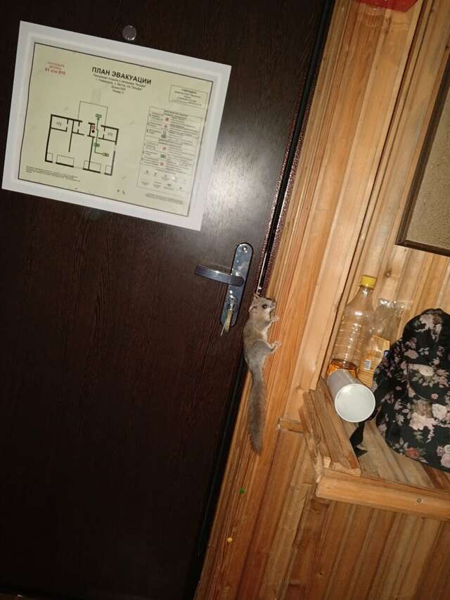 Гостевой дом Альфа Бетта-162