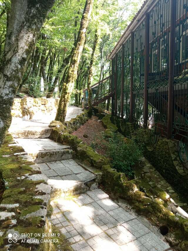 Гостевой дом Альфа Бетта-136