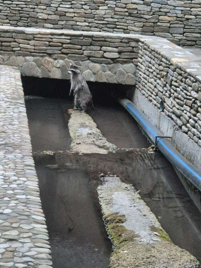 Гостевой дом Альфа Бетта-197