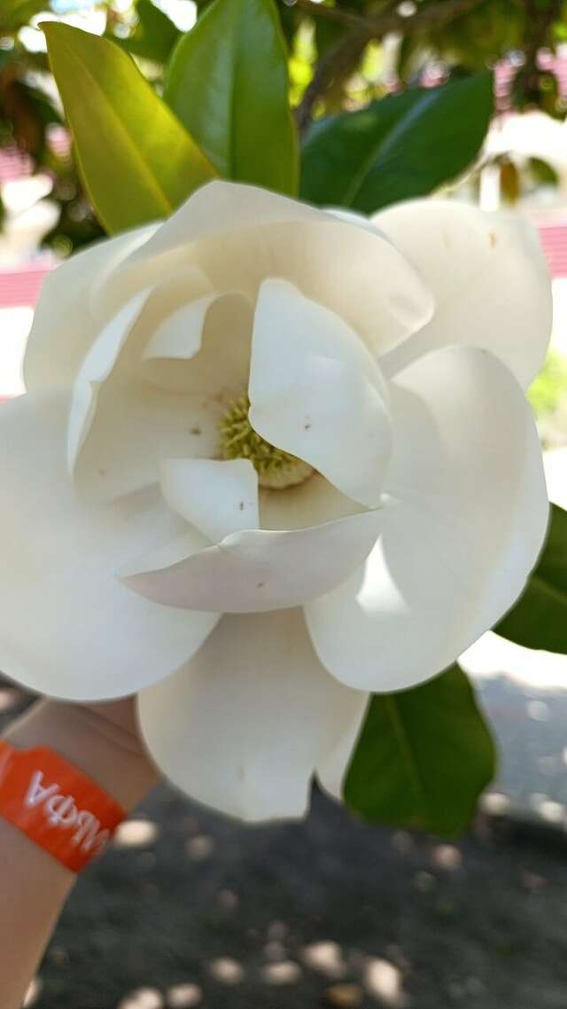 Гостевой дом Альфа Бетта-96