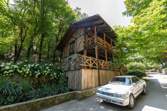 Гостевой дом Альфа Бетта-17