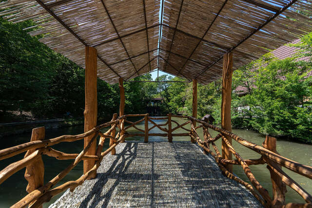 Гостевой дом Альфа Бетта-29