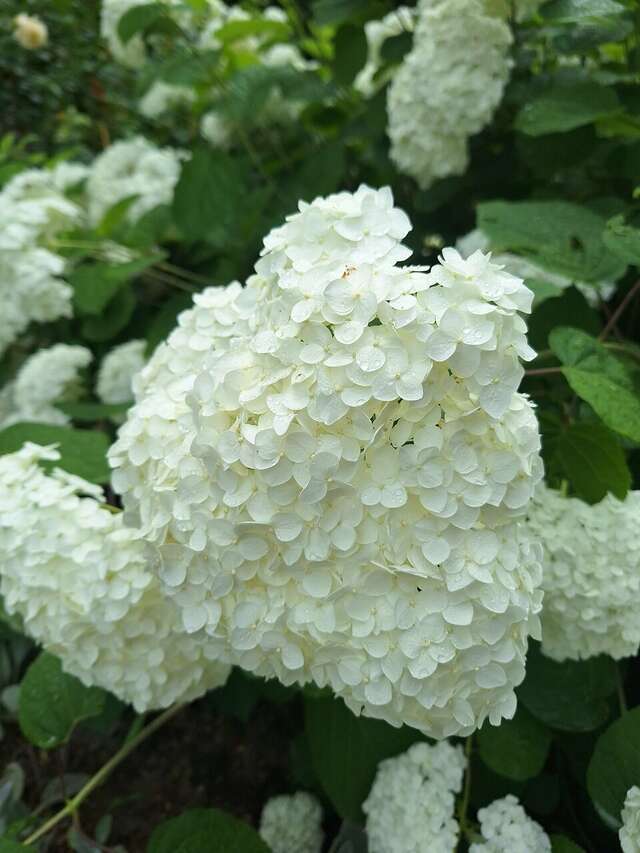 Гостевой дом Альфа Бетта-114