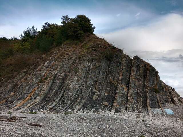 Гостевой дом Альфа Бетта-151