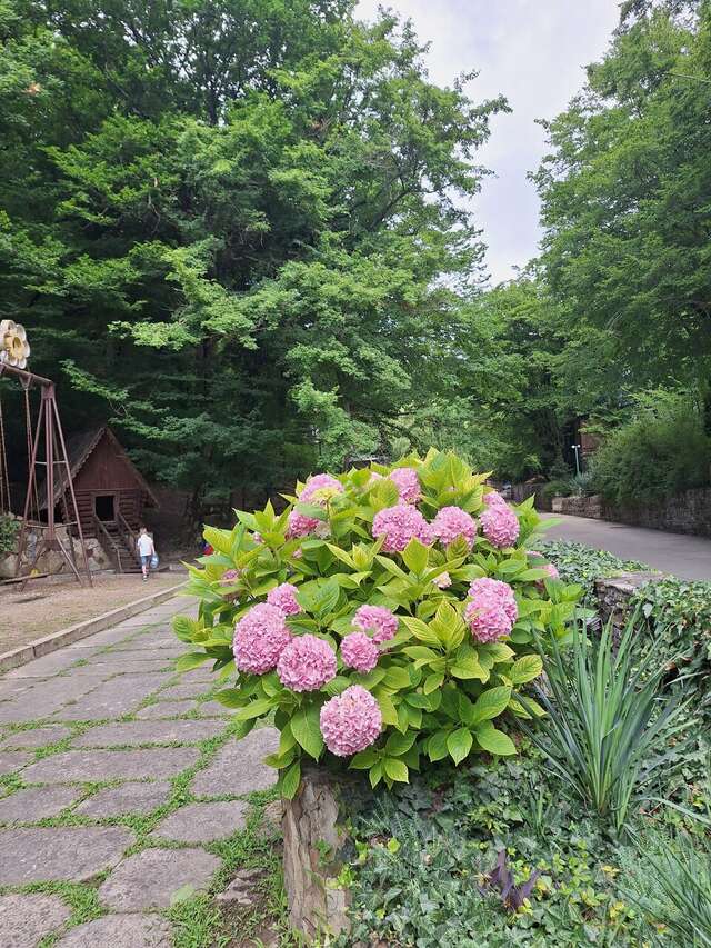 Гостевой дом Альфа Бетта-41