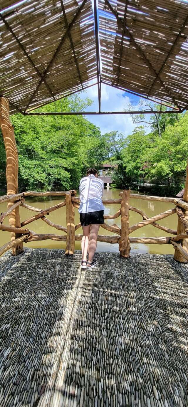 Гостевой дом Альфа Бетта-207