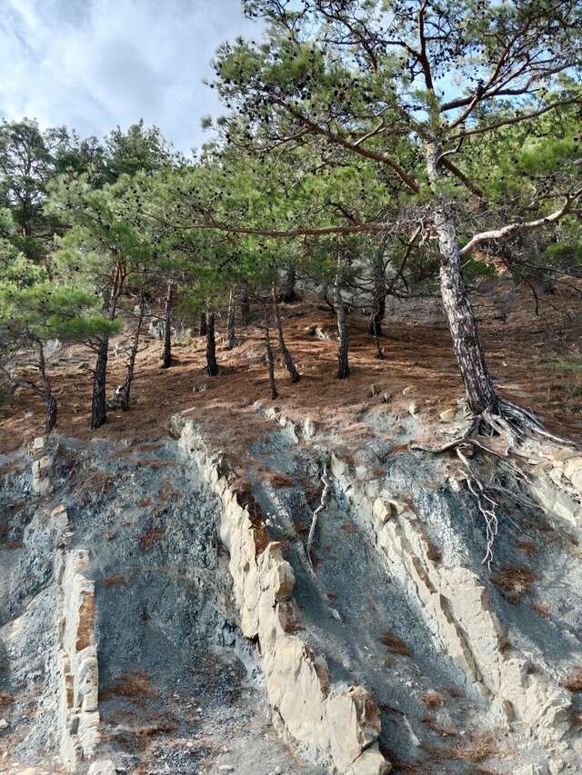 Гостевой дом Альфа Бетта-64