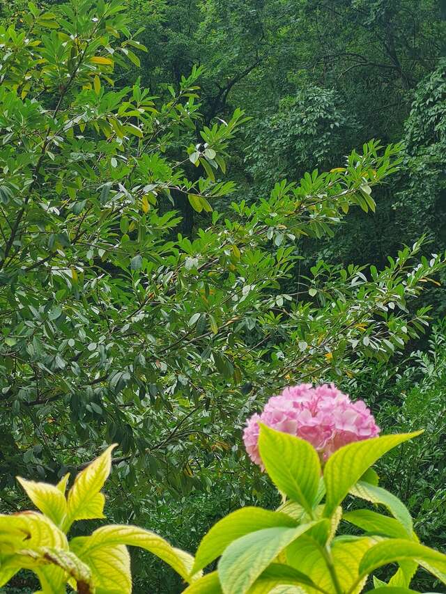 Гостевой дом Альфа Бетта-159