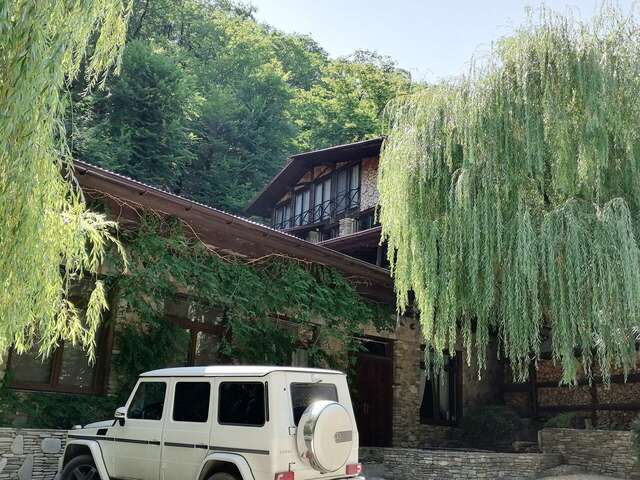 Гостевой дом Альфа Бетта-56