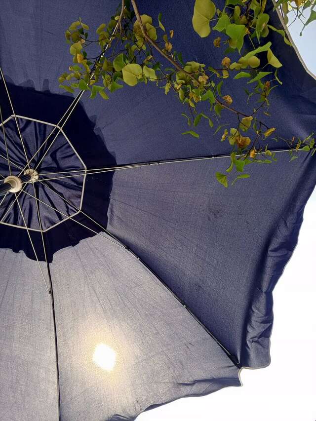 Гостевой дом Альфа Бетта-80