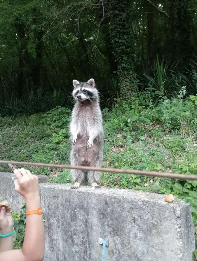 Гостевой дом Альфа Бетта-98