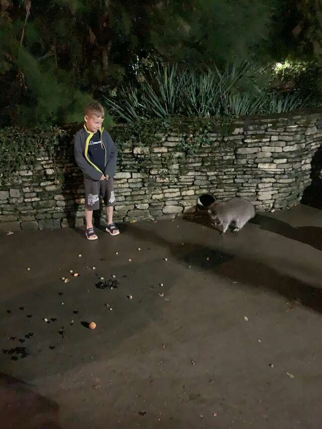 Гостевой дом Альфа Бетта-221