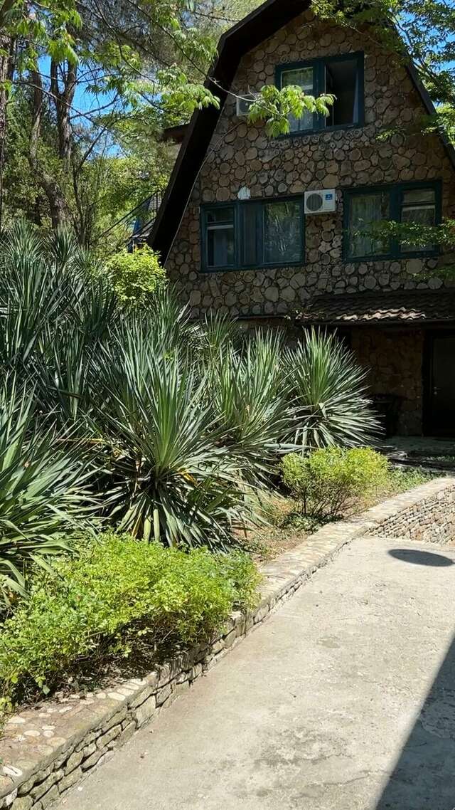 Гостевой дом Альфа Бетта-234