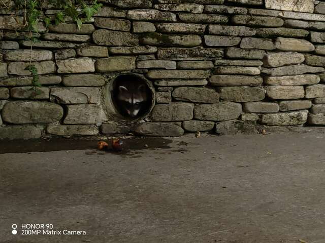 Гостевой дом Альфа Бетта-123