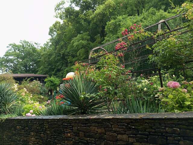 Гостевой дом Альфа Бетта-229