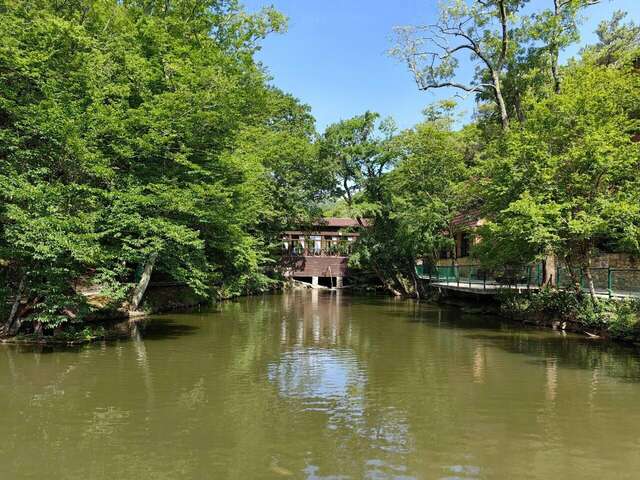 Гостевой дом Альфа Бетта-216